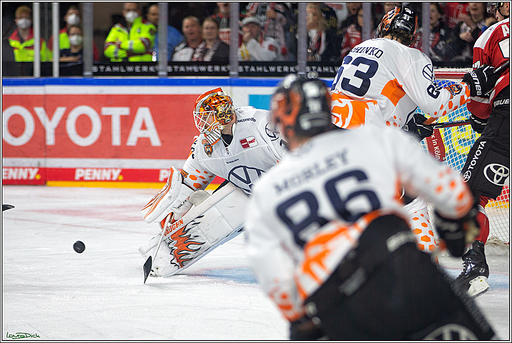 PENNY DEL; Koelner Haie- Grizzly Wolfsburg; Koeln, 26.10.2022